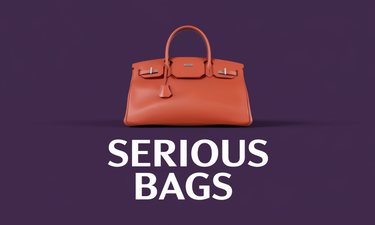 SeriousBags.com - Creative brandable domain for sale